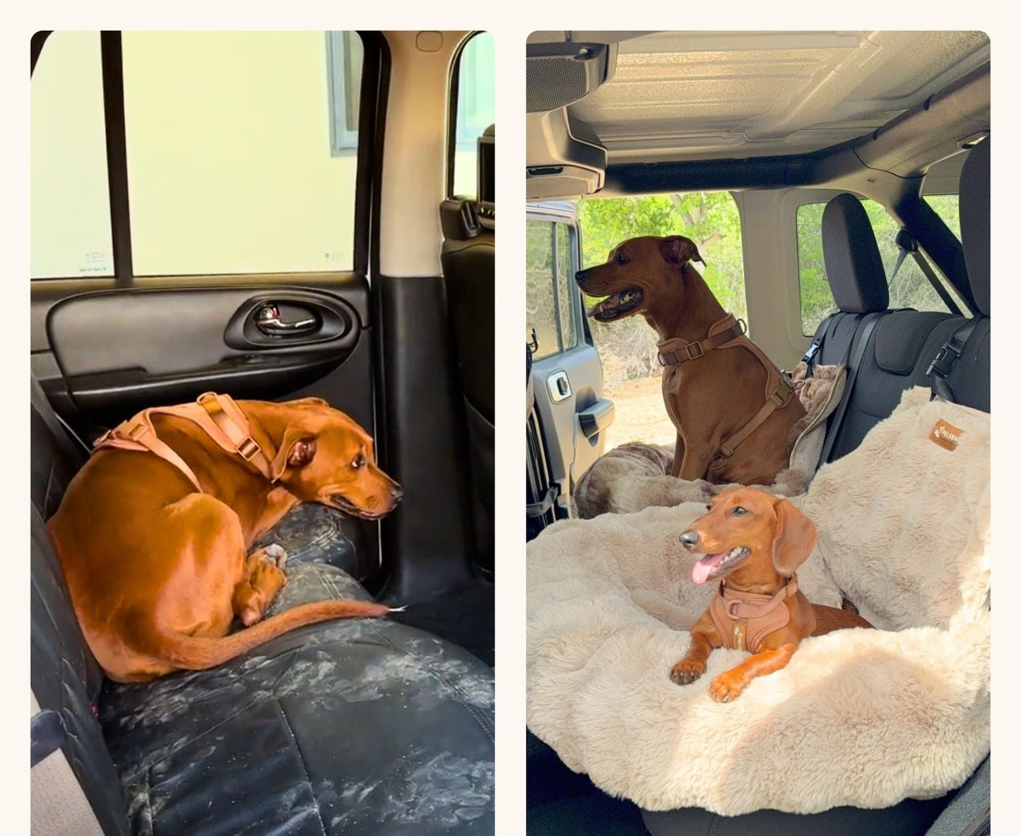 Cozy Pet Travel Bed™